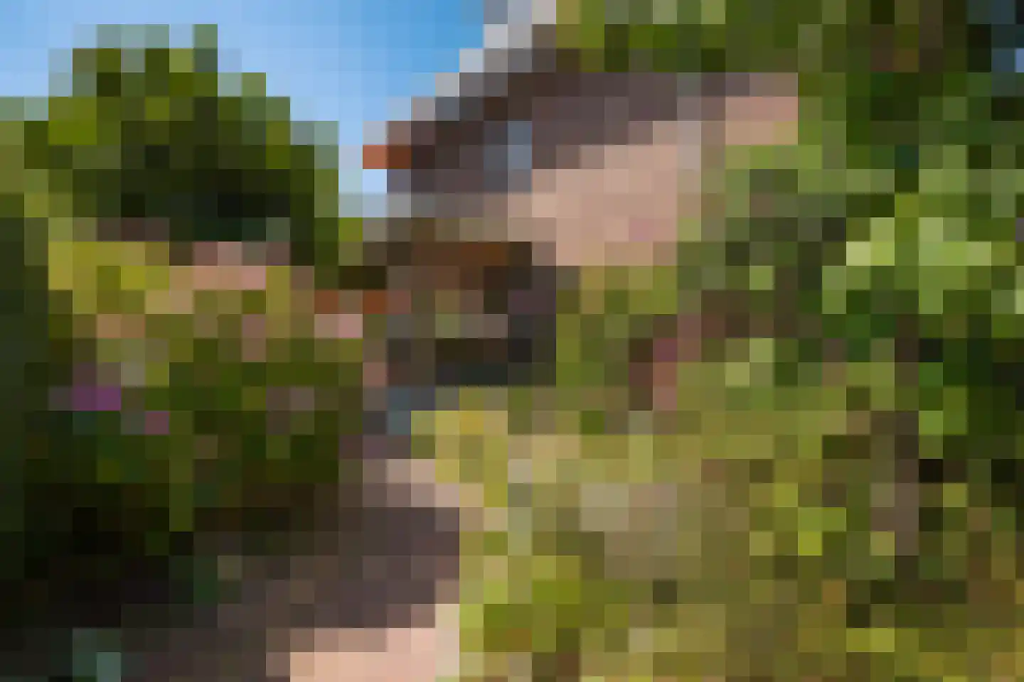 Ooievaarlaan 10 Den Haag thumbnail 10