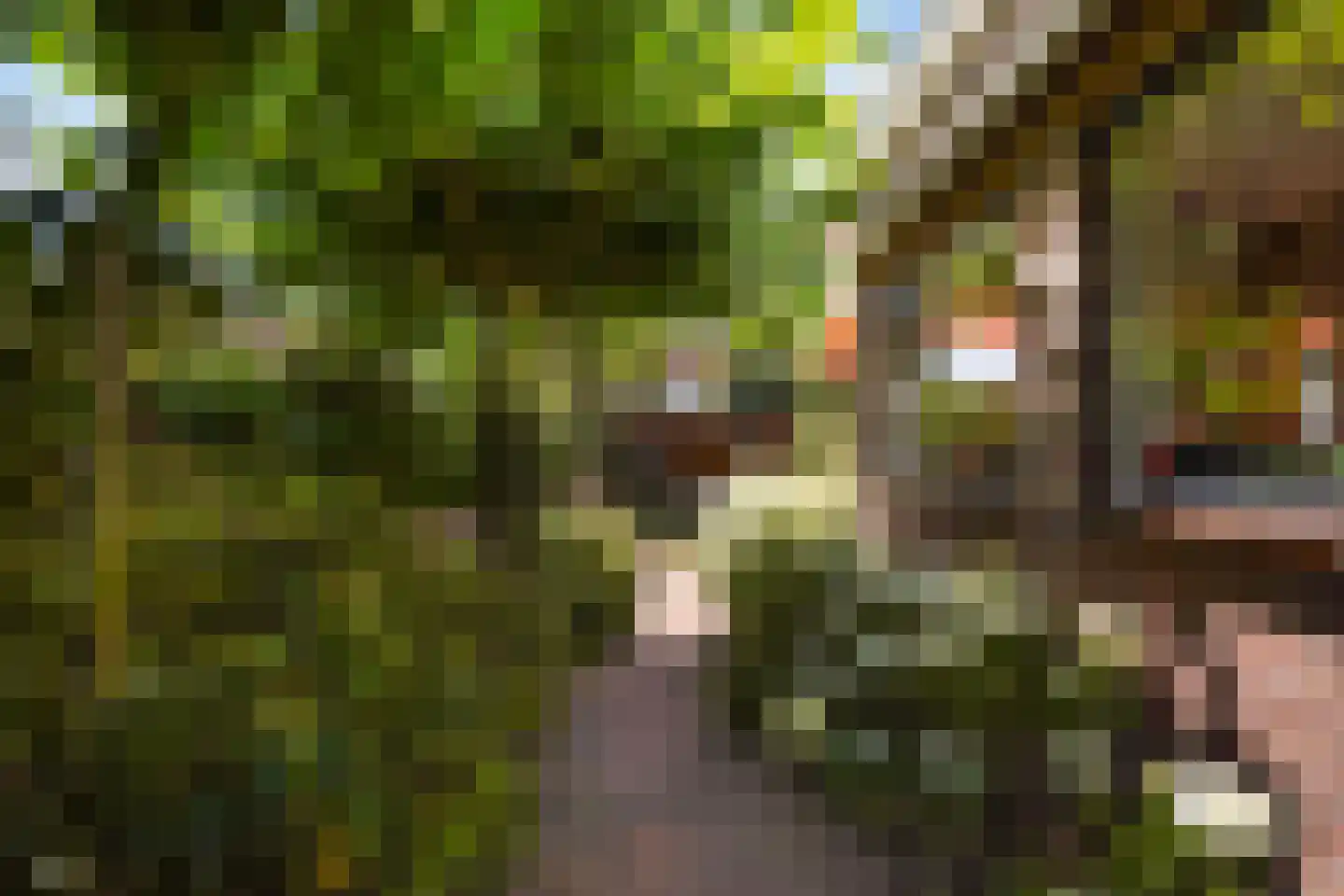 Ooievaarlaan 10 Den Haag thumbnail 11