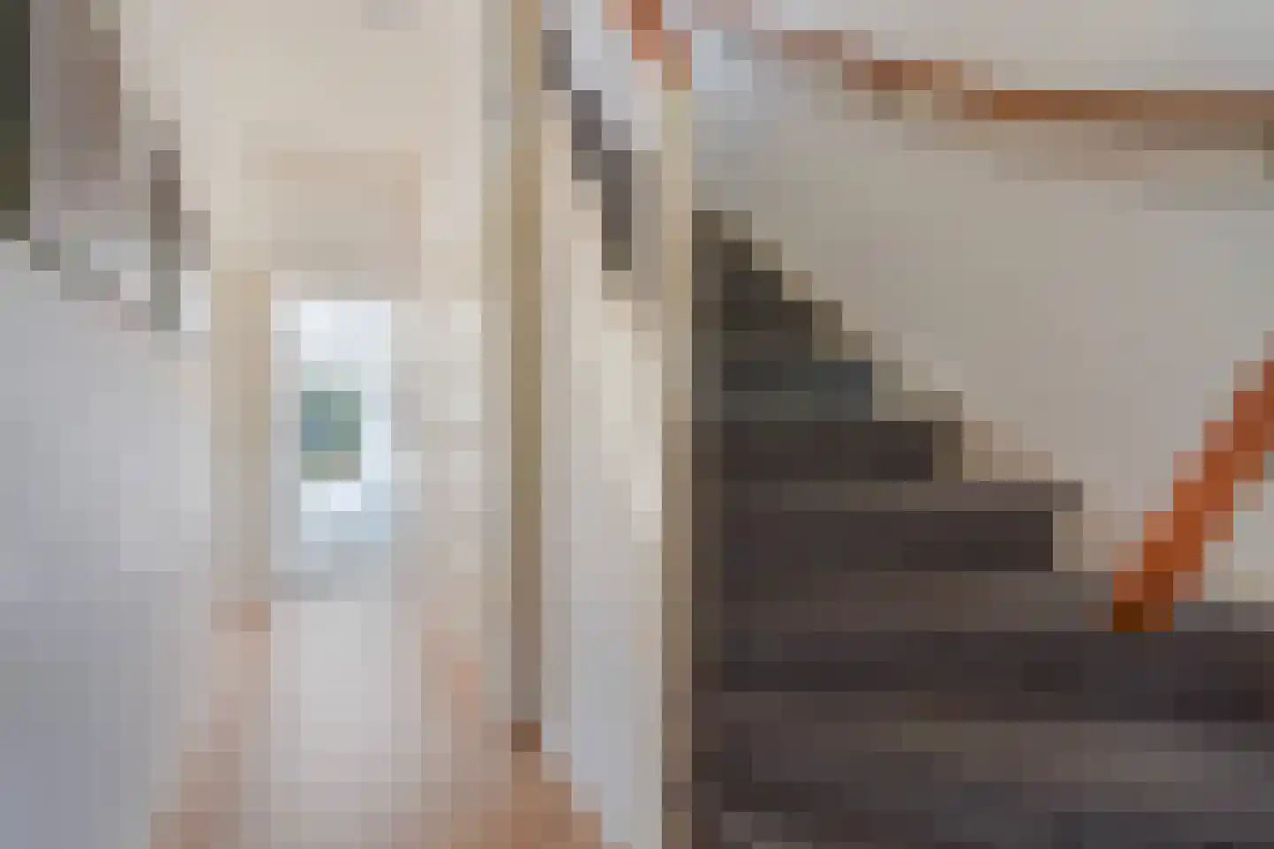 Ooievaarlaan 10 Den Haag thumbnail 12