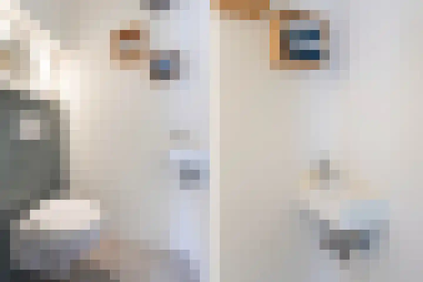 Ooievaarlaan 10 Den Haag thumbnail 13