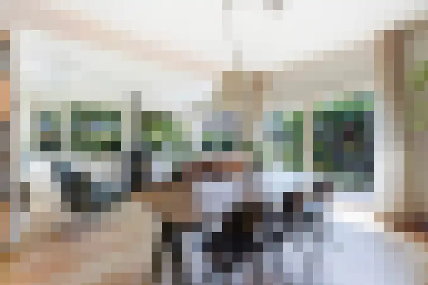 Ooievaarlaan 10 Den Haag thumbnail 17