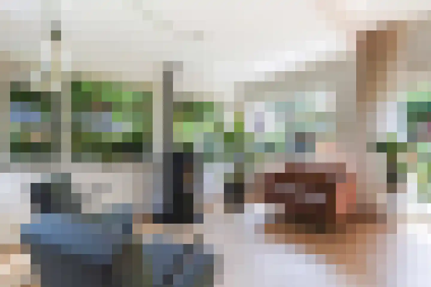 Ooievaarlaan 10 Den Haag thumbnail 18