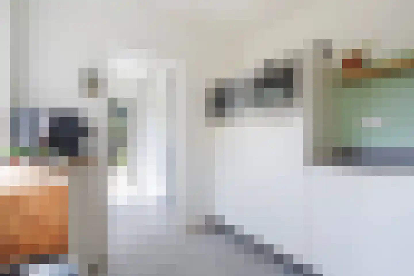 Ooievaarlaan 10 Den Haag thumbnail 24