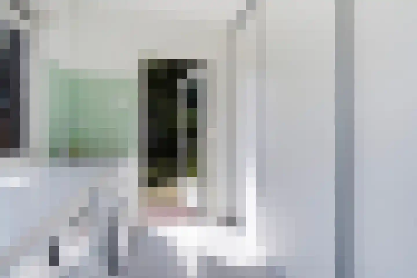 Ooievaarlaan 10 Den Haag thumbnail 26