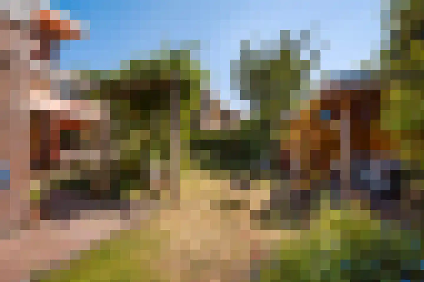 Ooievaarlaan 10 Den Haag thumbnail 27