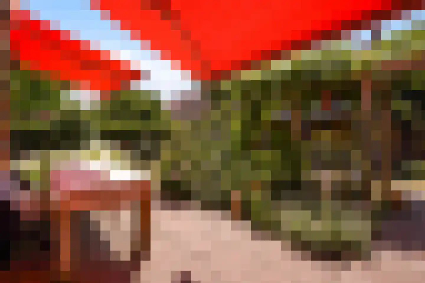 Ooievaarlaan 10 Den Haag thumbnail 29