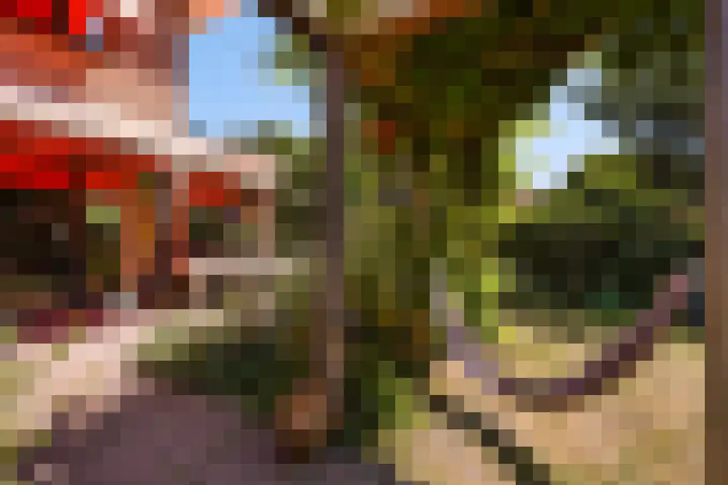 Ooievaarlaan 10 Den Haag thumbnail 30