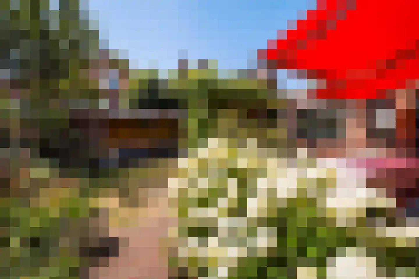 Ooievaarlaan 10 Den Haag thumbnail 33