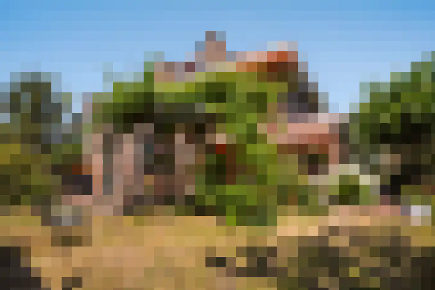 Ooievaarlaan 10 Den Haag thumbnail 34