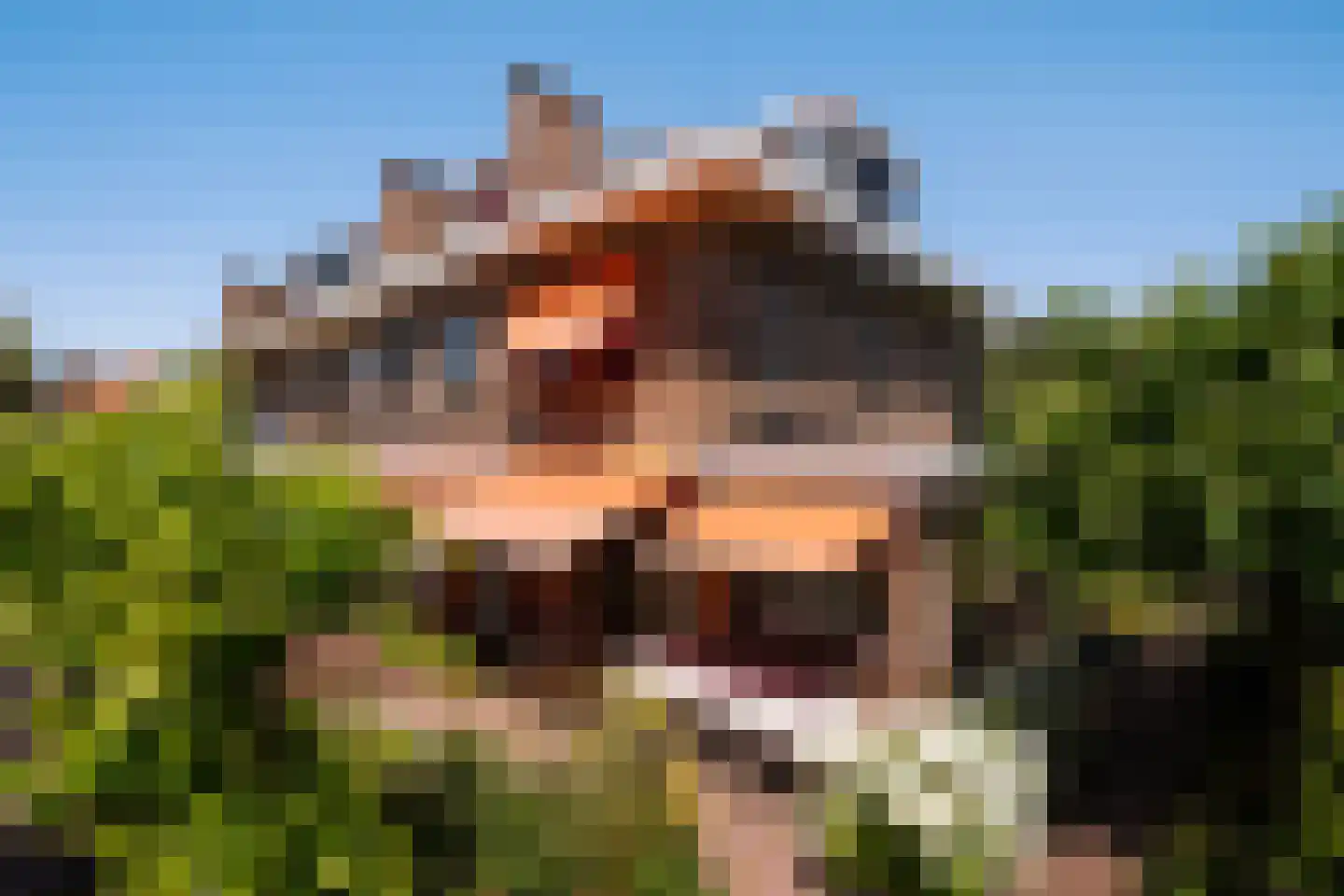 Ooievaarlaan 10 Den Haag thumbnail 35