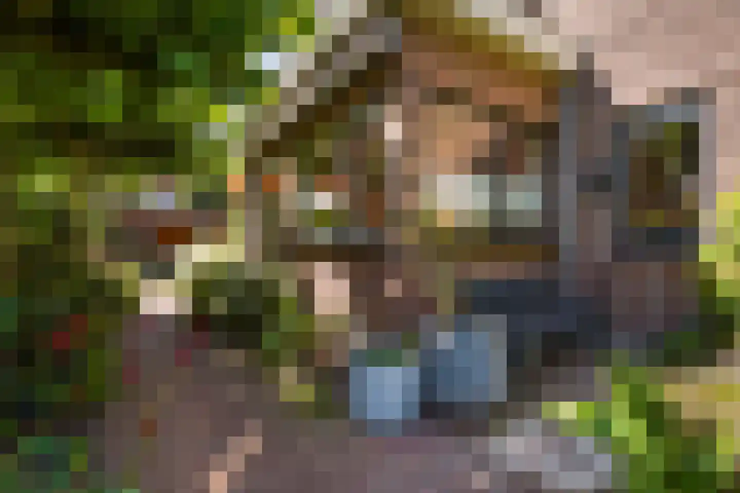 Ooievaarlaan 10 Den Haag thumbnail 36