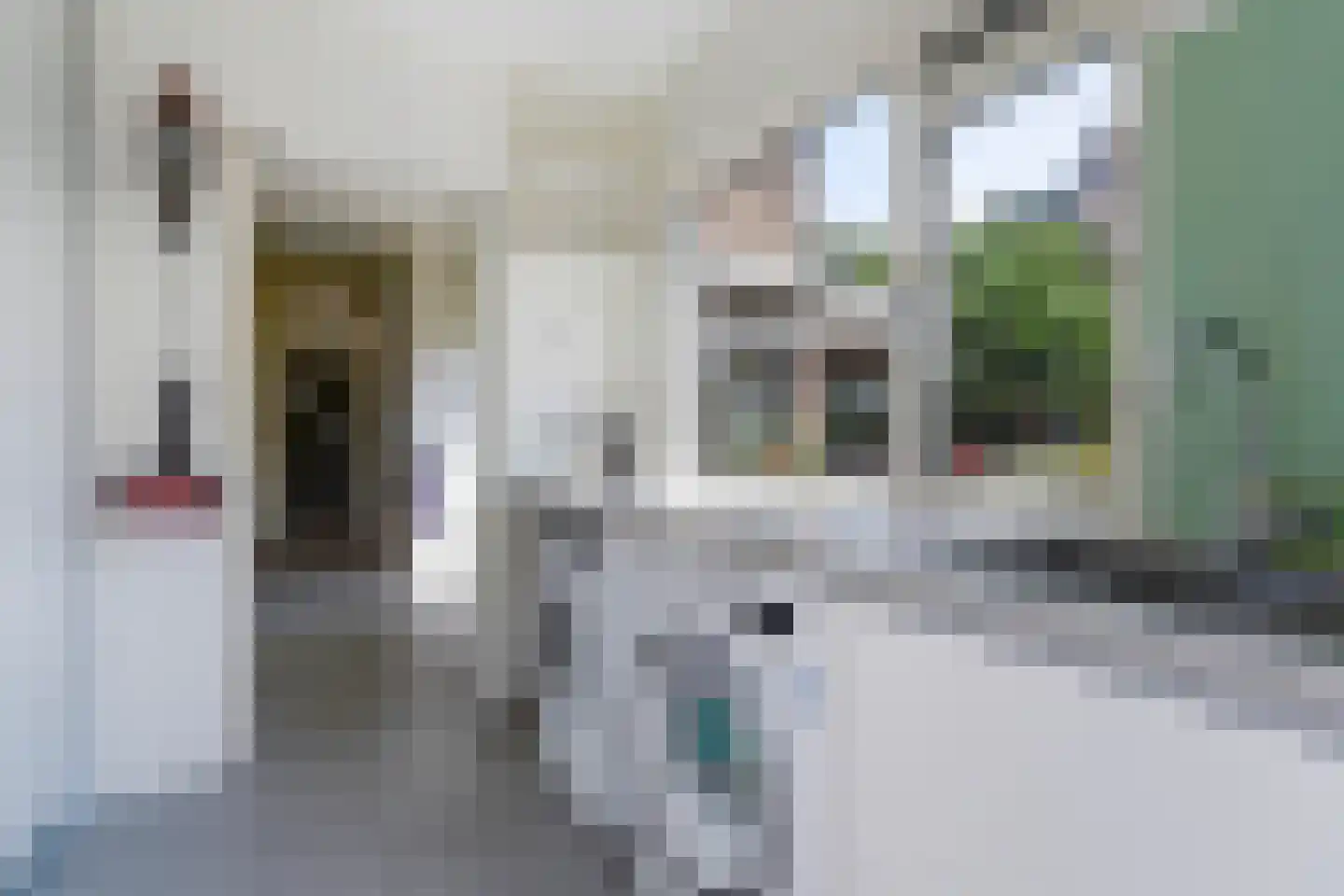 Ooievaarlaan 10 Den Haag thumbnail 38