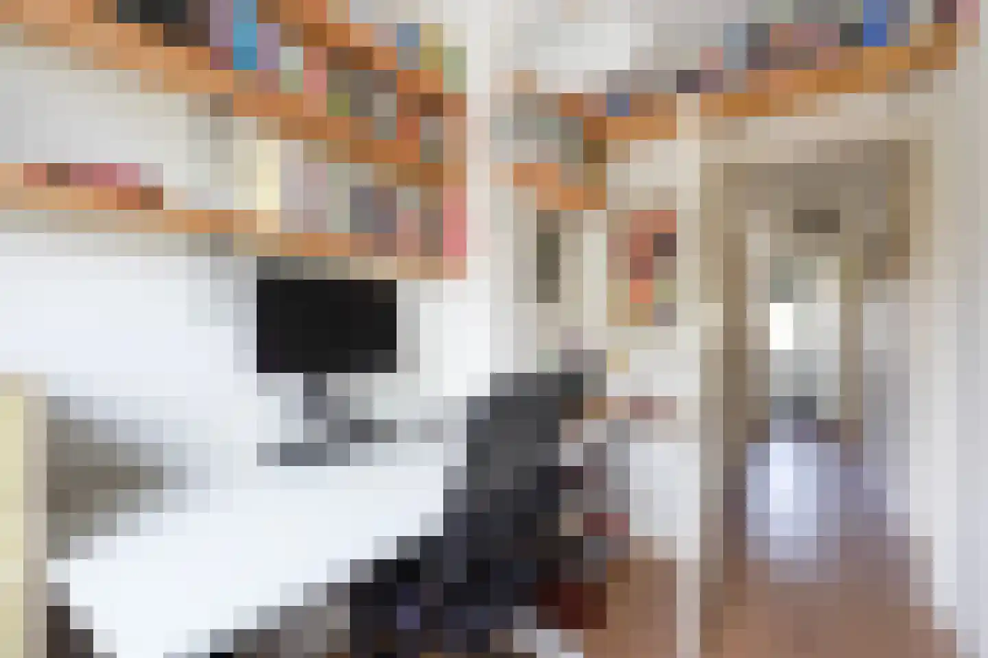 Ooievaarlaan 10 Den Haag thumbnail 45