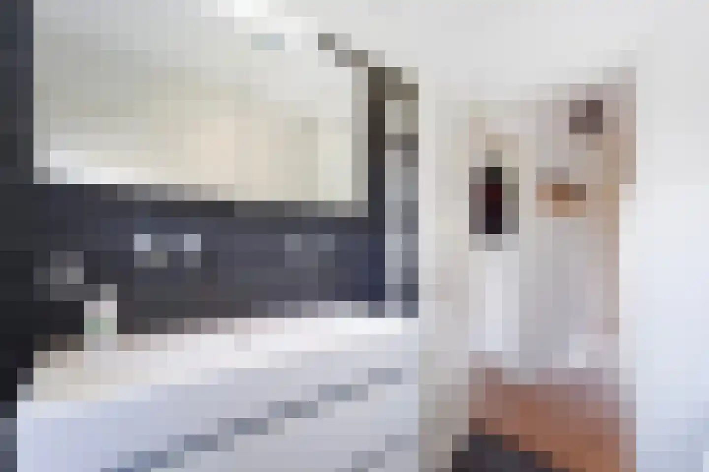 Ooievaarlaan 10 Den Haag thumbnail 51