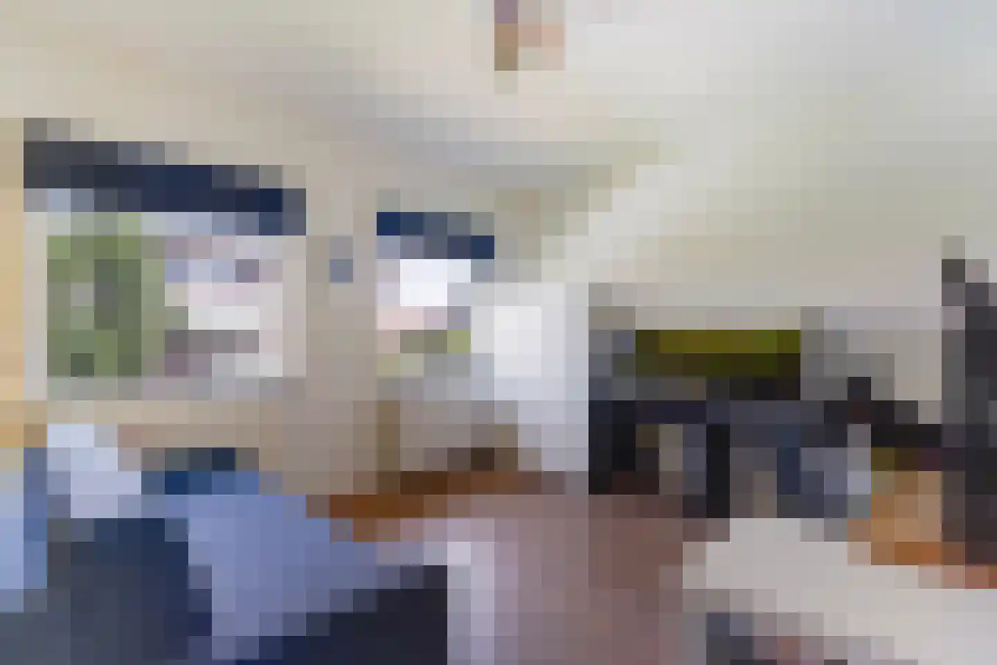 Ooievaarlaan 10 Den Haag thumbnail 52