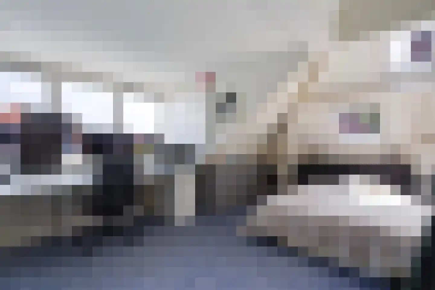 Ooievaarlaan 10 Den Haag thumbnail 59