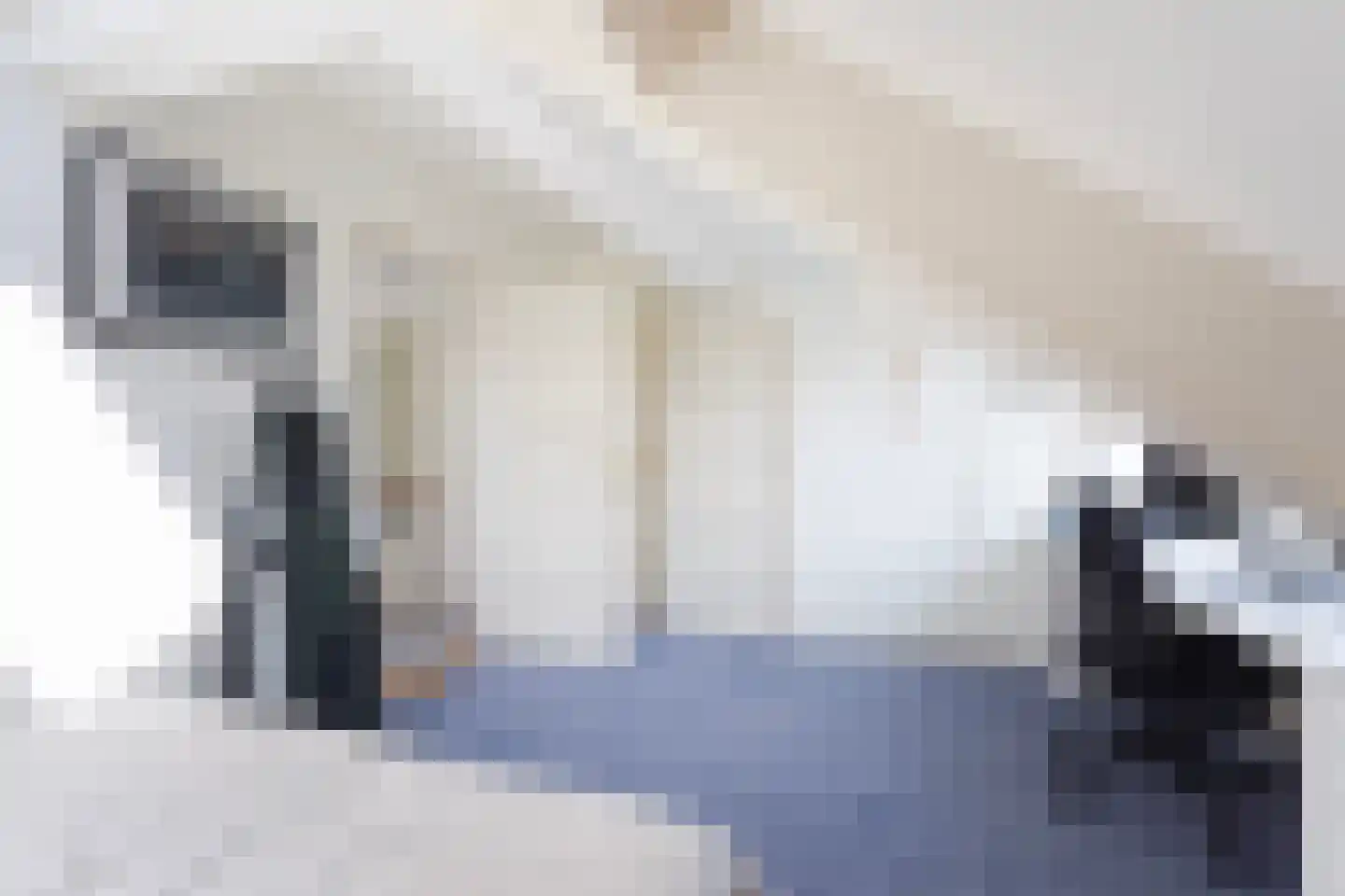Ooievaarlaan 10 Den Haag thumbnail 61
