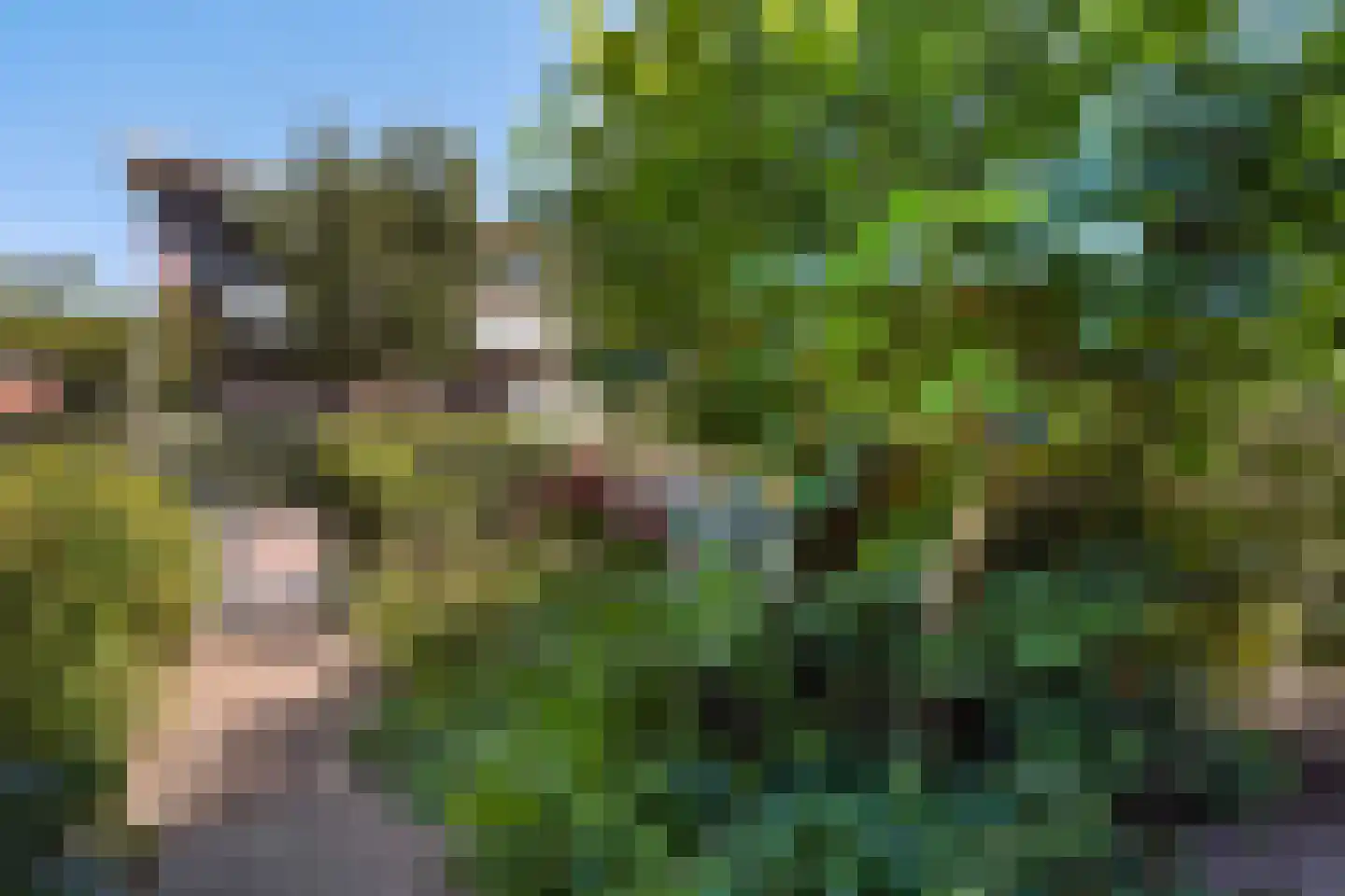 Ooievaarlaan 10 Den Haag thumbnail 8