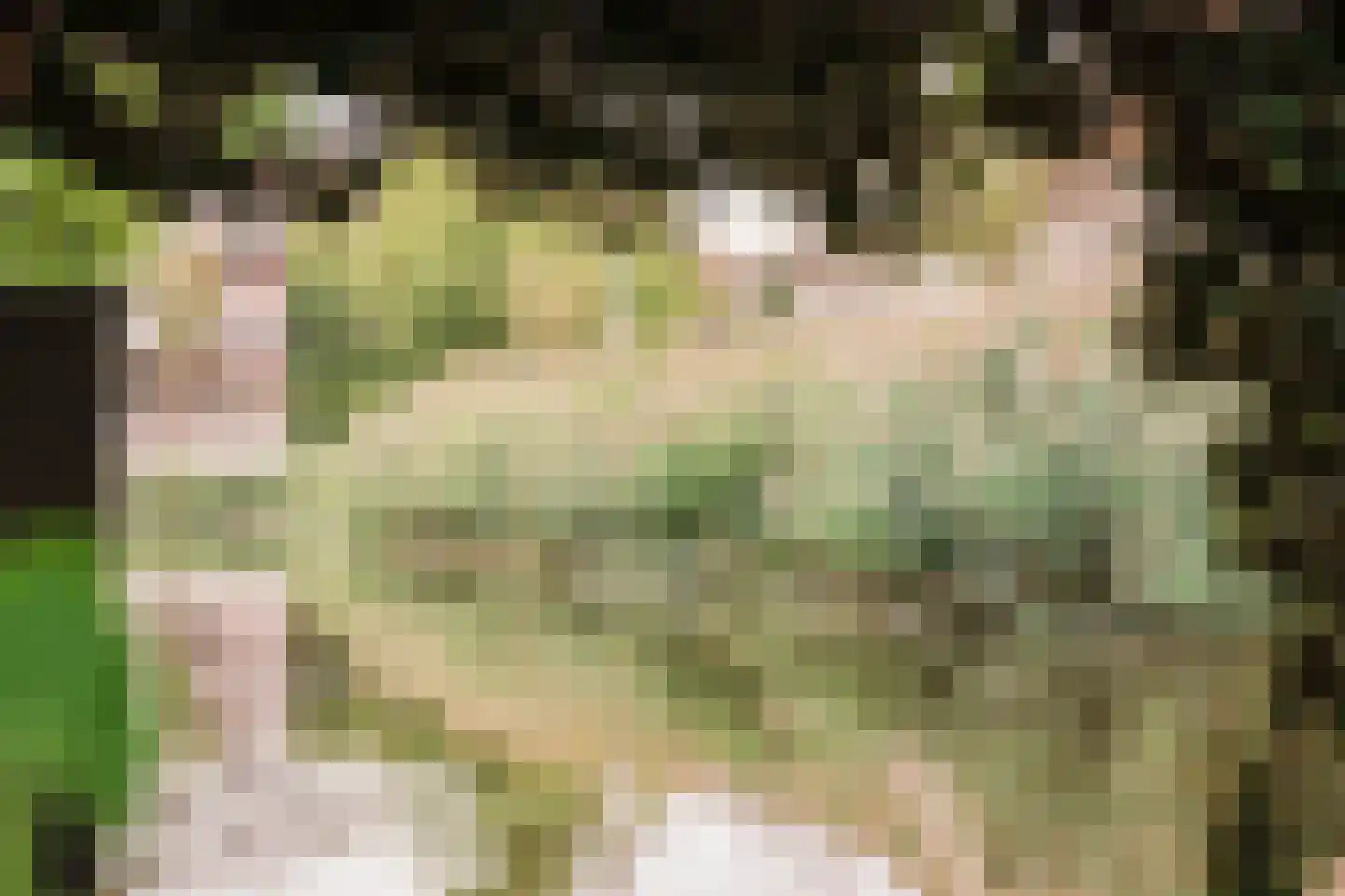 Ooievaarlaan 11 Heemstede thumbnail 26