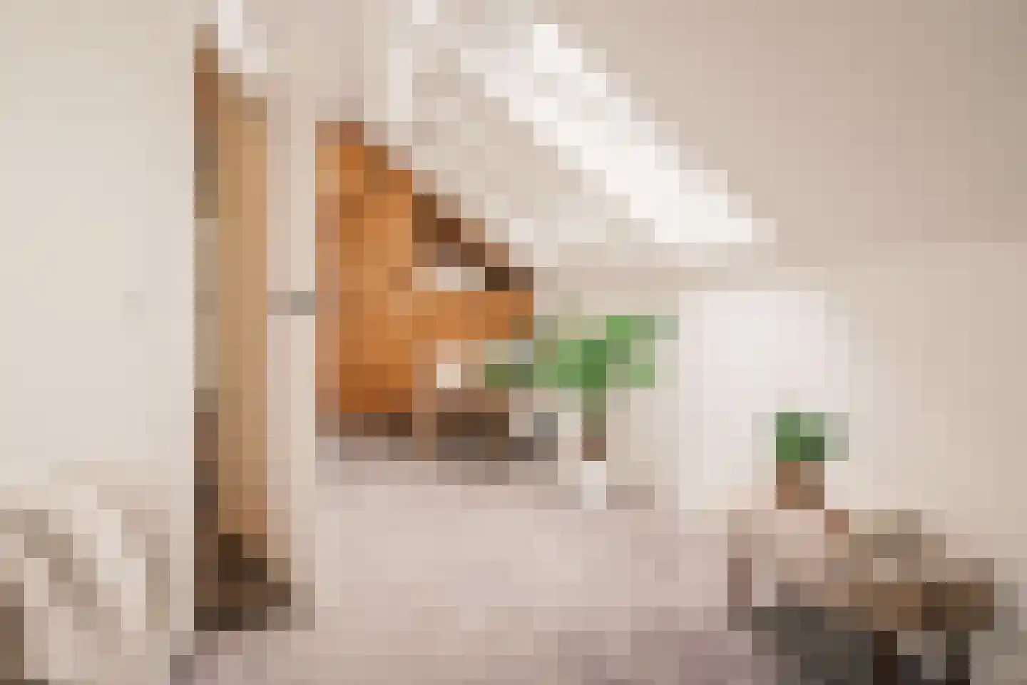 Ooievaarlaan 11 Heemstede thumbnail 43