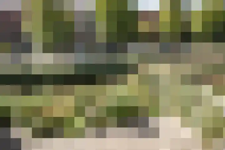 Ooievaarlaan 17 Heemstede thumbnail 18