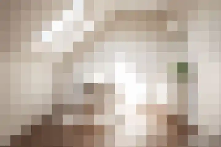 Ooievaarlaan 17 Heemstede thumbnail 35