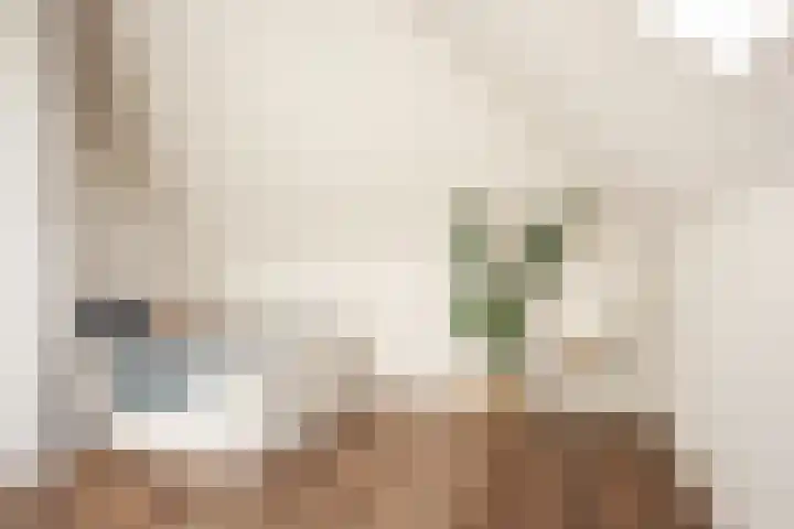Ooievaarlaan 17 Heemstede thumbnail 36