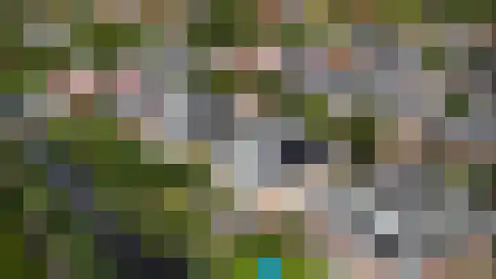 Ooievaarlaan 17 Heemstede thumbnail 4