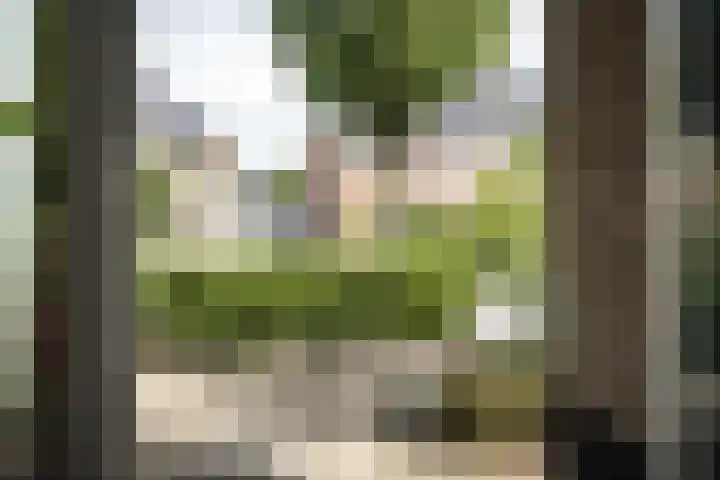 Ooievaarlaan 17 Heemstede thumbnail 6