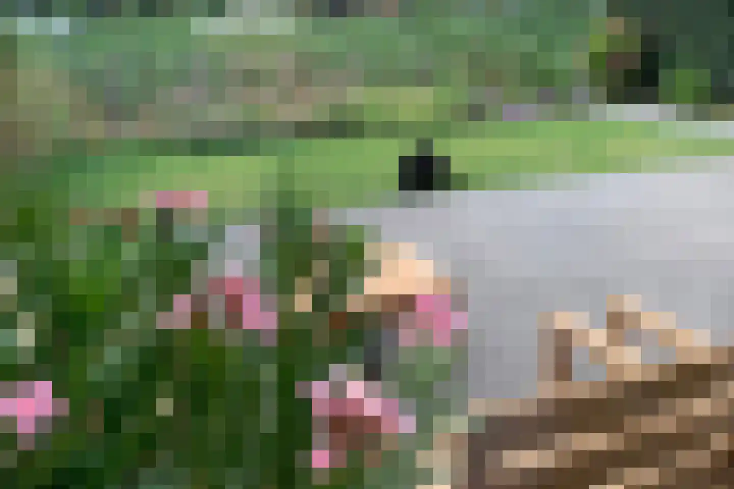 Ooievaarlaan 19 Heemstede thumbnail 10