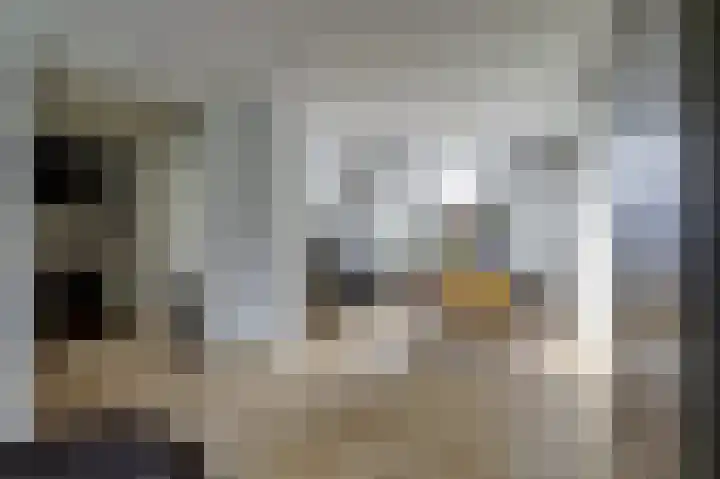 Ooievaarlaan 2 Leerdam thumbnail 10