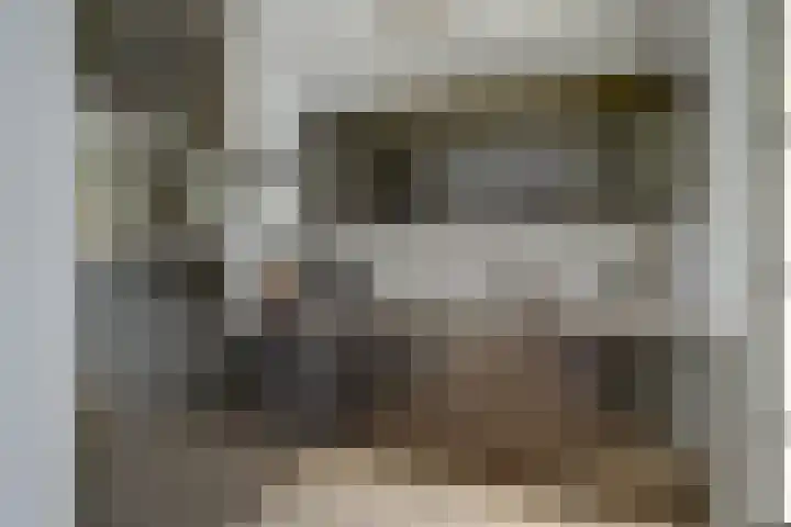 Ooievaarlaan 2 Leerdam thumbnail 11