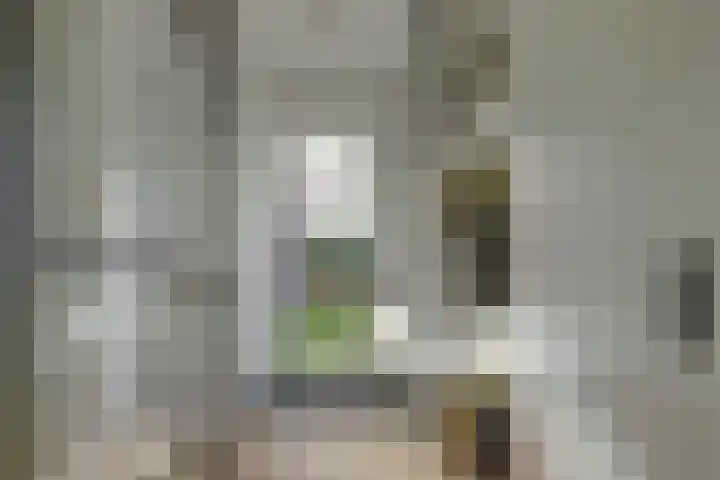 Ooievaarlaan 2 Leerdam thumbnail 13