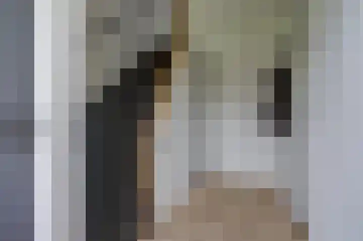 Ooievaarlaan 2 Leerdam thumbnail 15