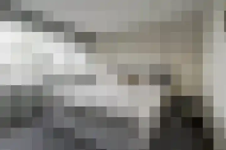 Ooievaarlaan 2 Leerdam thumbnail 16