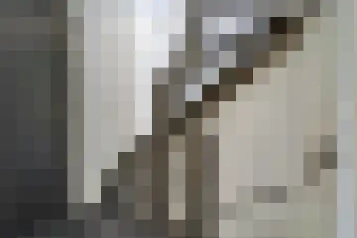 Ooievaarlaan 2 Leerdam thumbnail 26