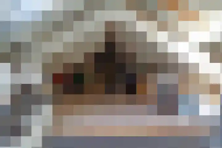 Ooievaarlaan 2 Leerdam thumbnail 27