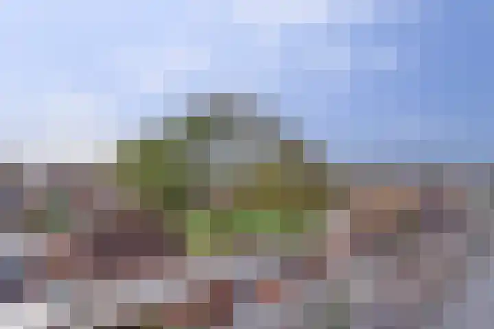 Ooievaarlaan 2 Leerdam thumbnail 28