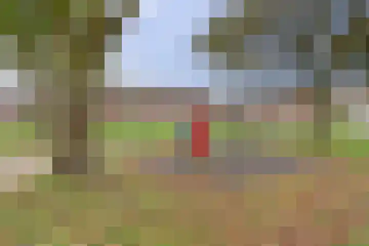 Ooievaarlaan 2 Leerdam thumbnail 33