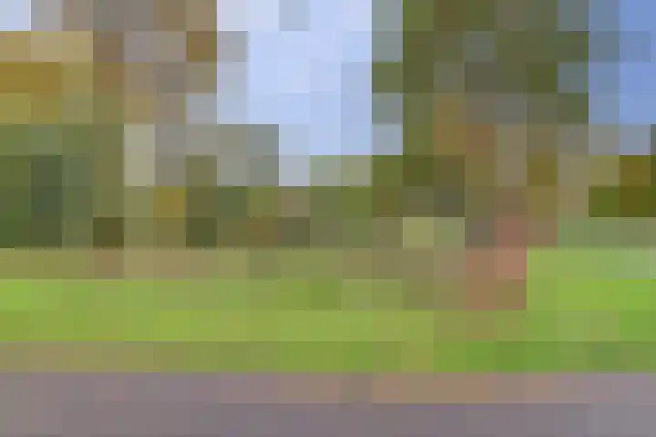 Ooievaarlaan 2 Leerdam thumbnail 36