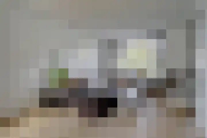 Ooievaarlaan 2 Leerdam thumbnail 8