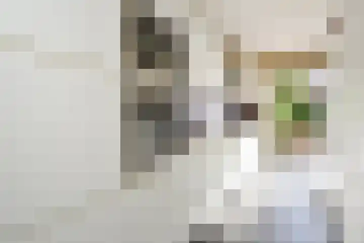Ooievaarlaan 29 Den Haag thumbnail 15