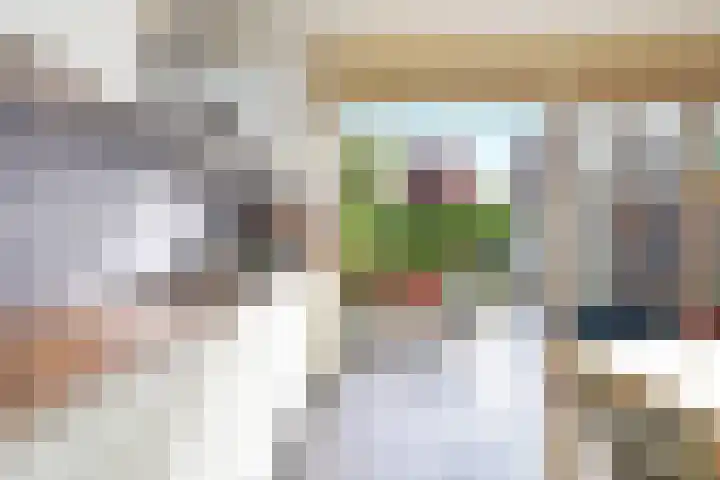 Ooievaarlaan 29 Den Haag thumbnail 16