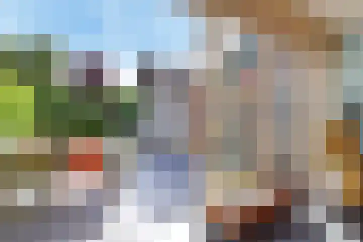 Ooievaarlaan 29 Den Haag thumbnail 18