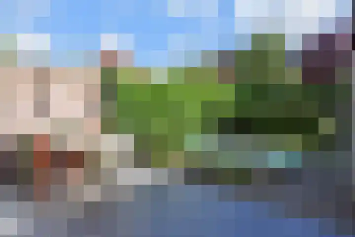 Ooievaarlaan 29 Den Haag thumbnail 19