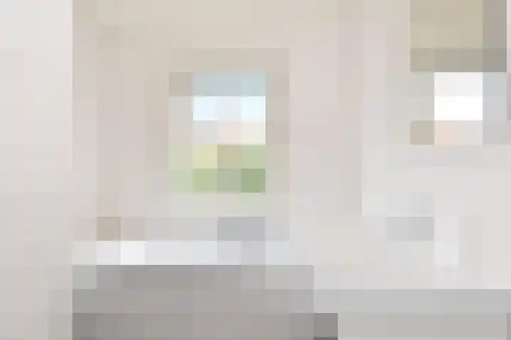 Ooievaarlaan 29 Den Haag thumbnail 31