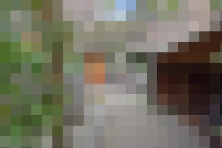 Ooievaarlaan 29 Den Haag thumbnail 4