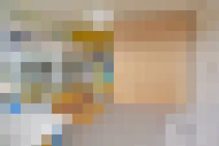 Ooievaarlaan 29 Den Haag thumbnail 43