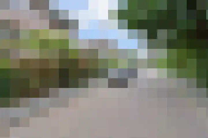 Ooievaarlaan 29 Den Haag thumbnail 45