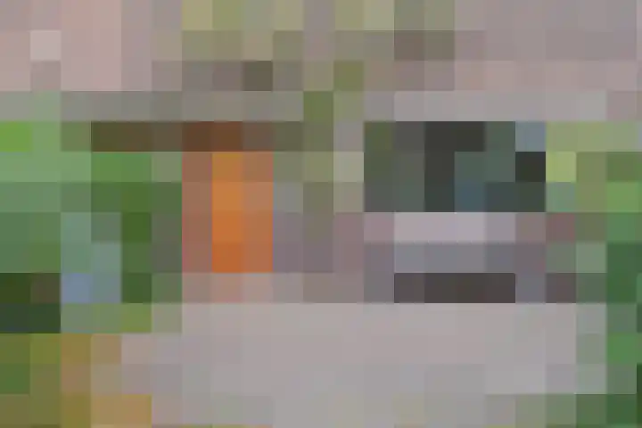 Ooievaarlaan 29 Den Haag thumbnail 5